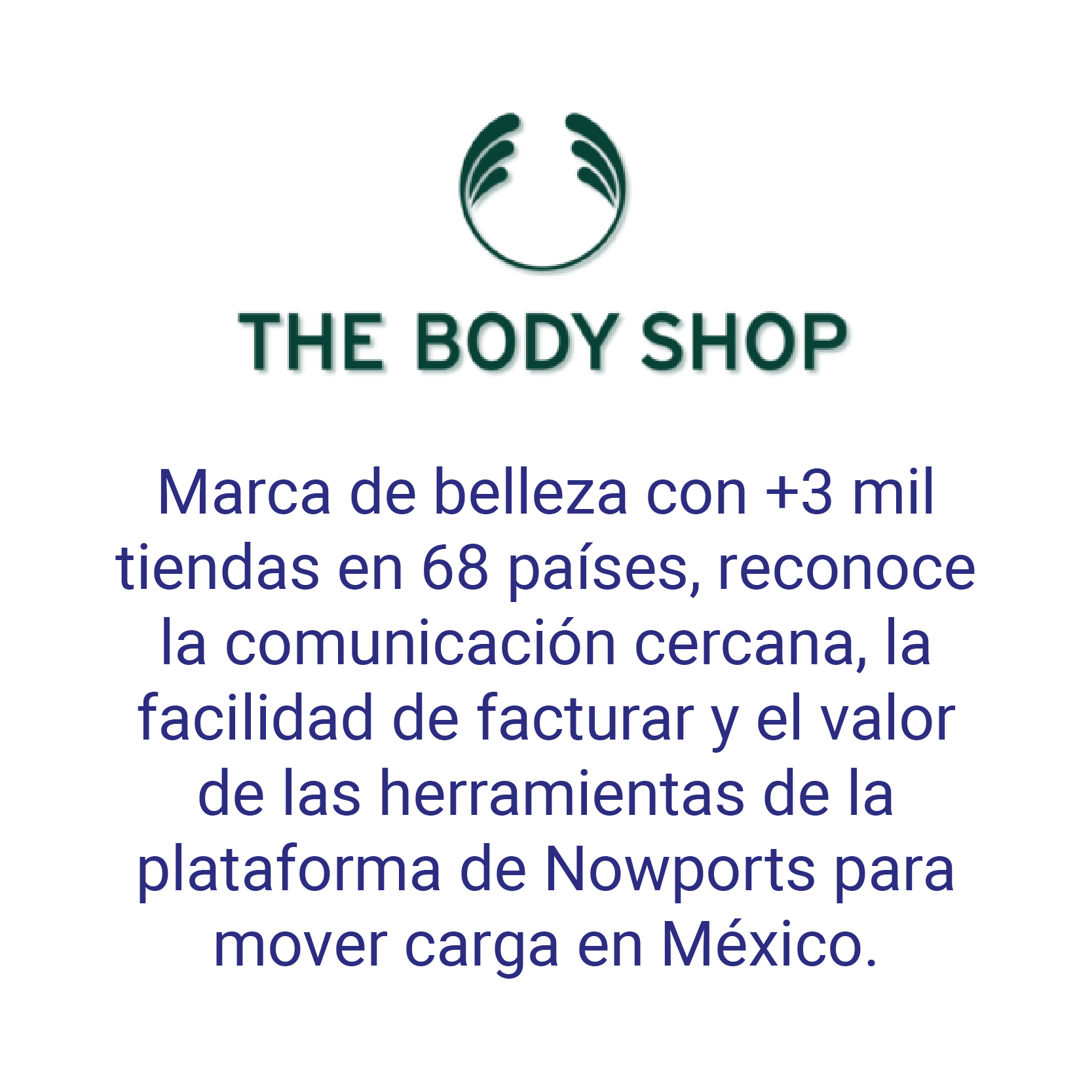 The body shop img
